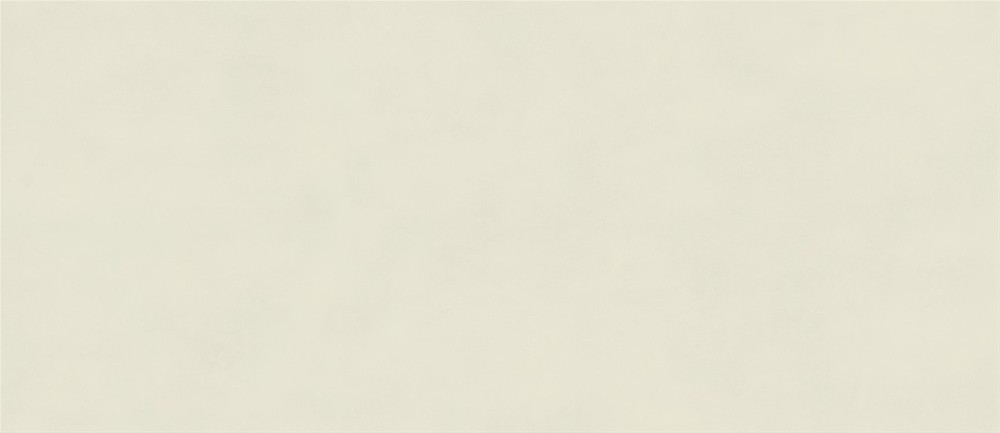 Boost Color Salix  Matte